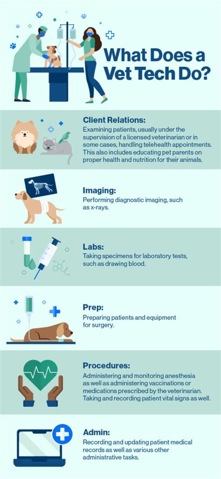 What do vets actually do?