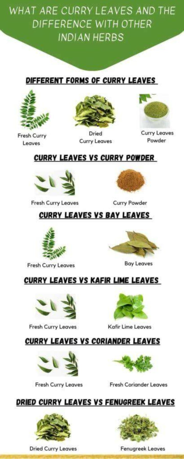 What do you call Curry Patta in English?