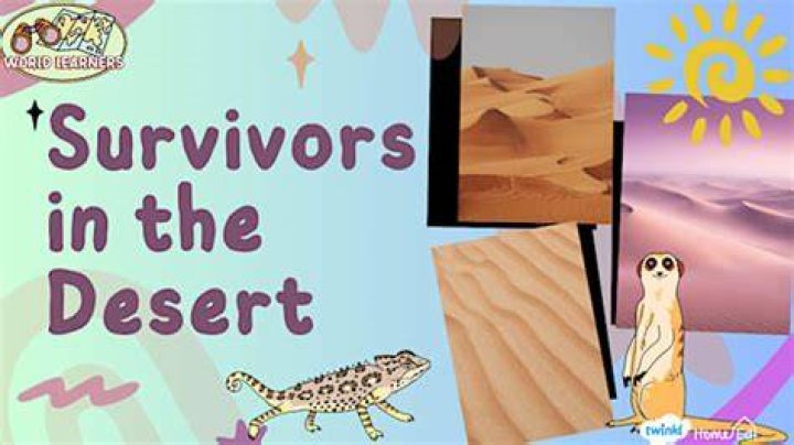 What do you need to survive in the desert?