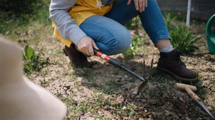 What do you use to loosen soil?