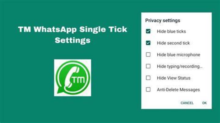 What does 1 tick on WhatsApp mean?