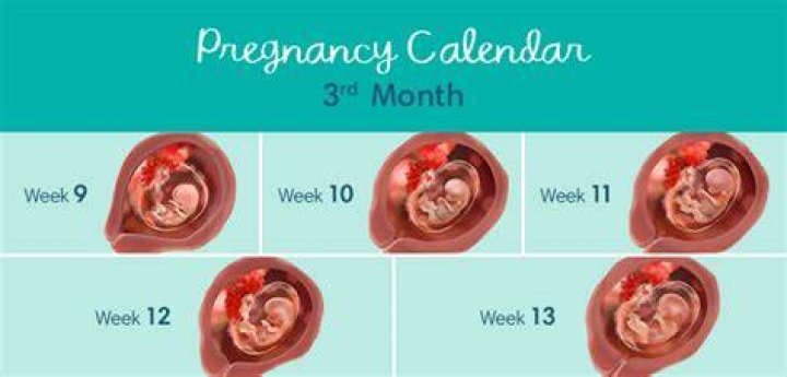What does a baby do at 3 months?