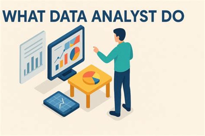 What does a computer analyst do?