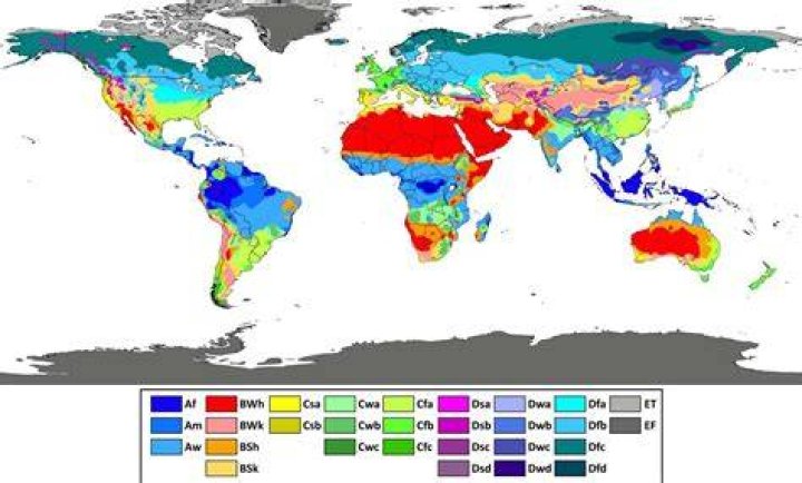 What does a humid subtropical climate look like?