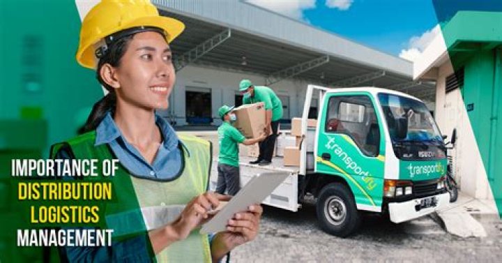 What does a logistics and distribution manager do?