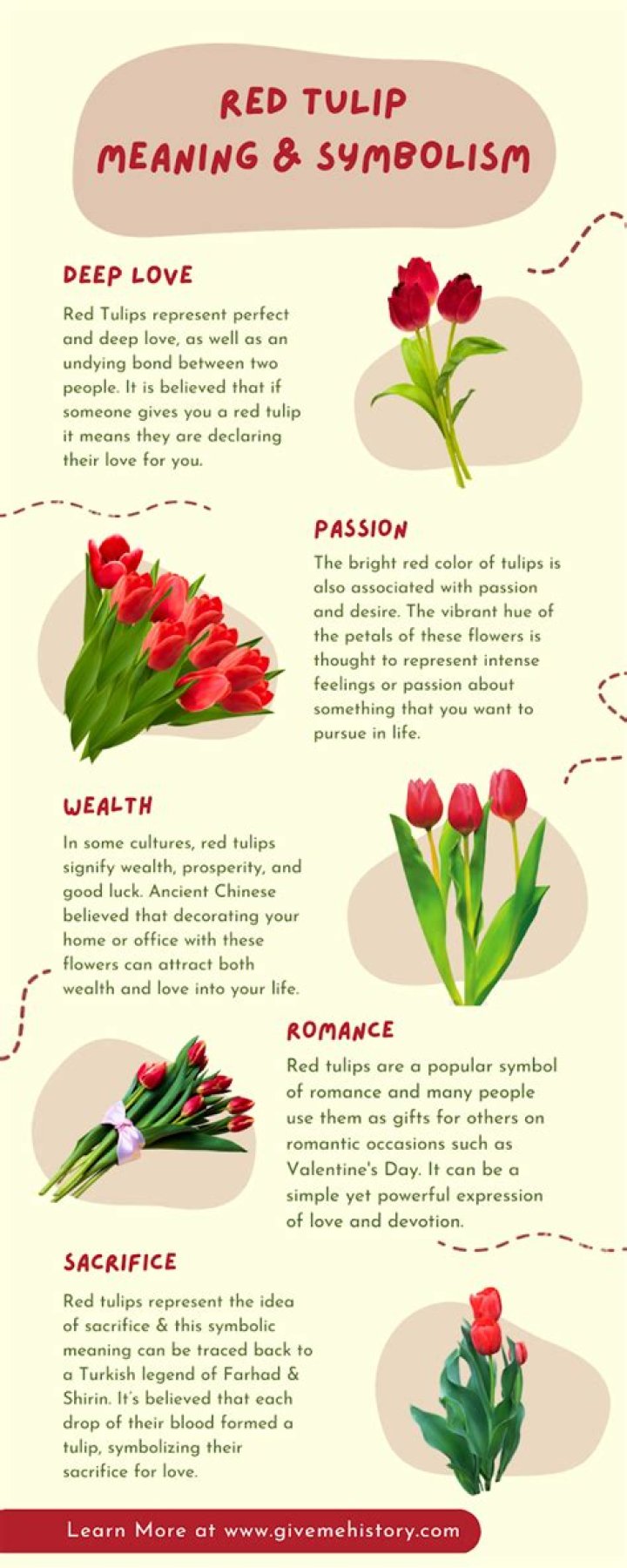 What does a tulip flower symbolize?
