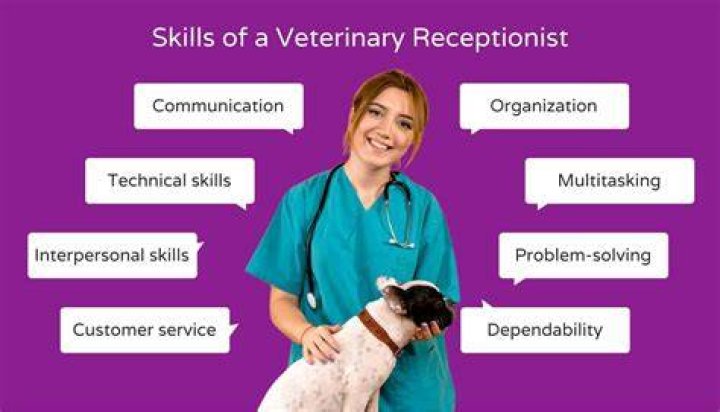 What does a vet receptionist do?