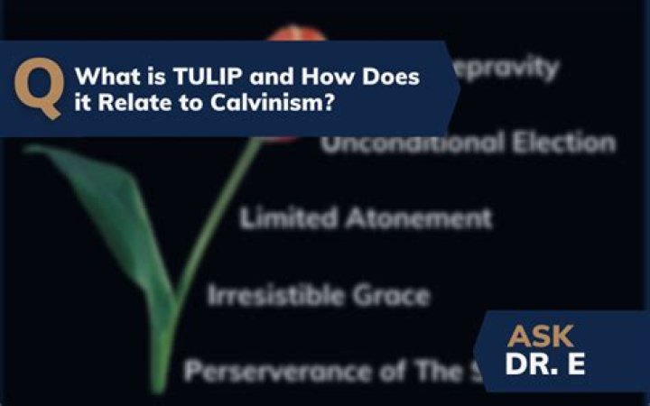 What does Calvinism Tulip mean?