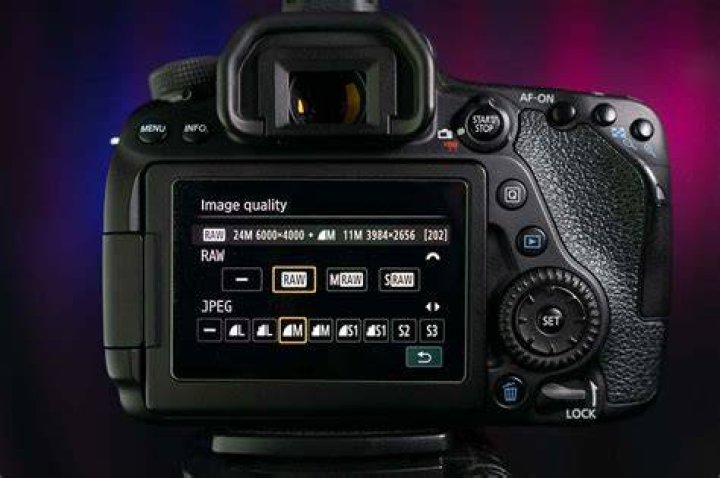 What does Can Stock Photo mean?