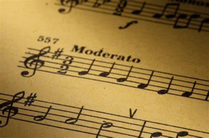 What does Con Brio mean in music?