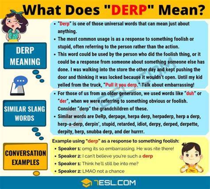 What does DERP mean urban dictionary?