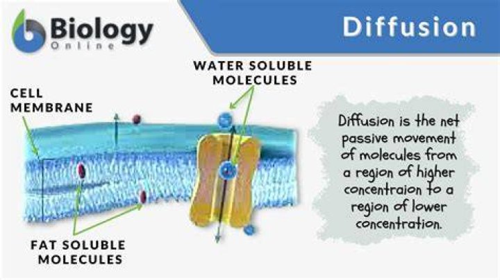 What does diffusely mean in medical terms?