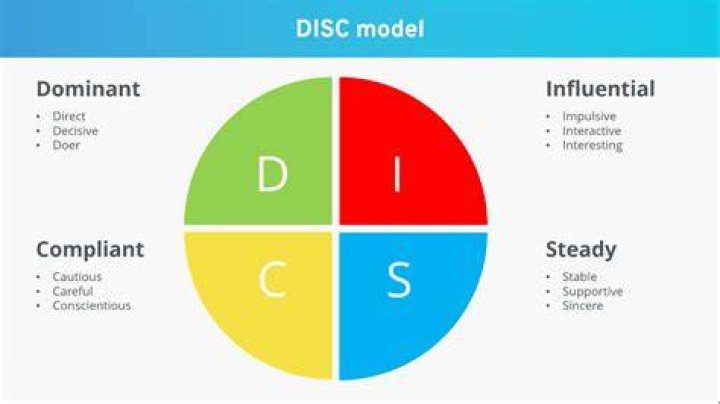 What does DiSC stand for in DiSC assessment?