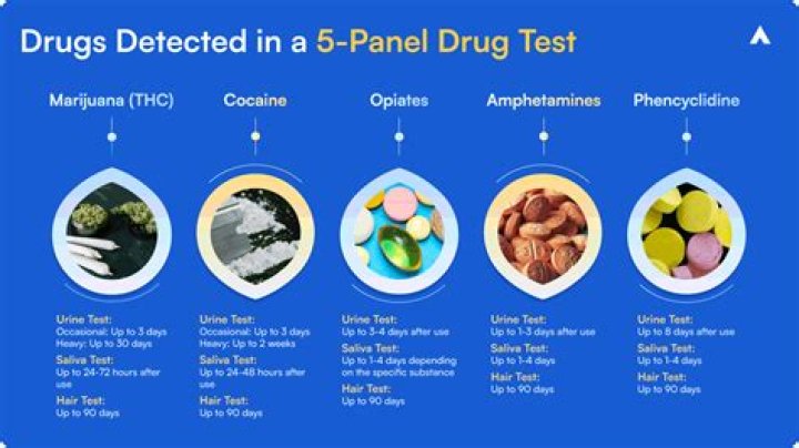 What does drug screening mean?