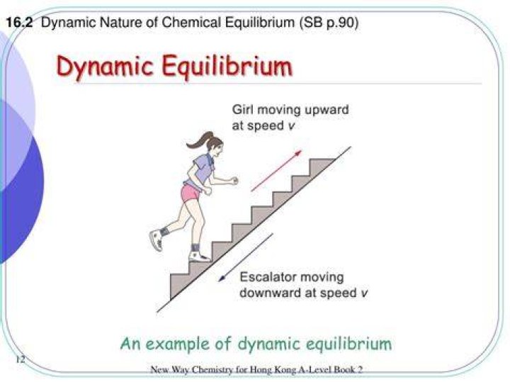 What does dynamic in dynamic equilibrium mean?