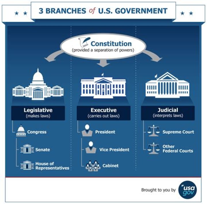 What does each branch of government do?