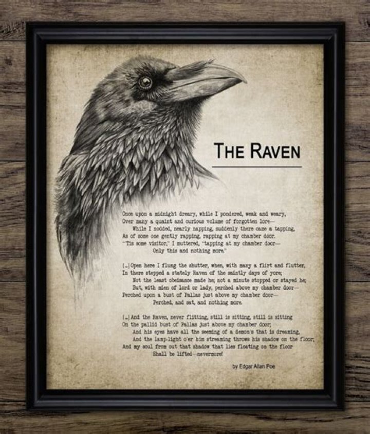 What does fancy mean in The Raven?
