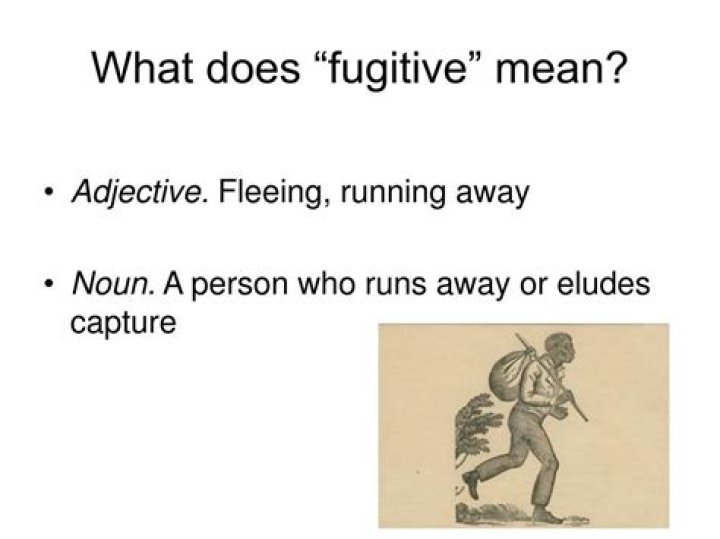 What does Fugitive U felony mean?