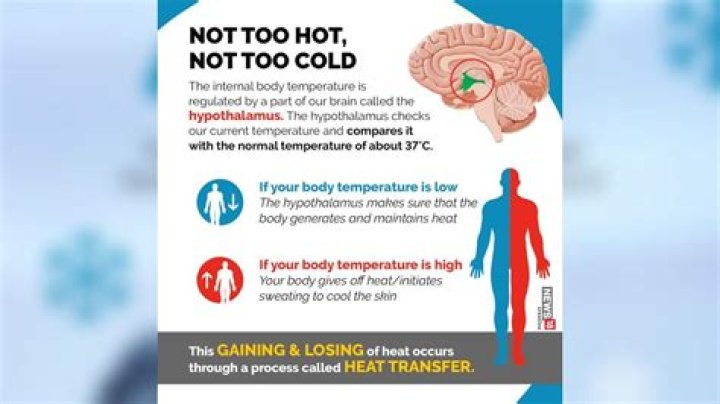 What does it mean if your body is hot but you feel cold?