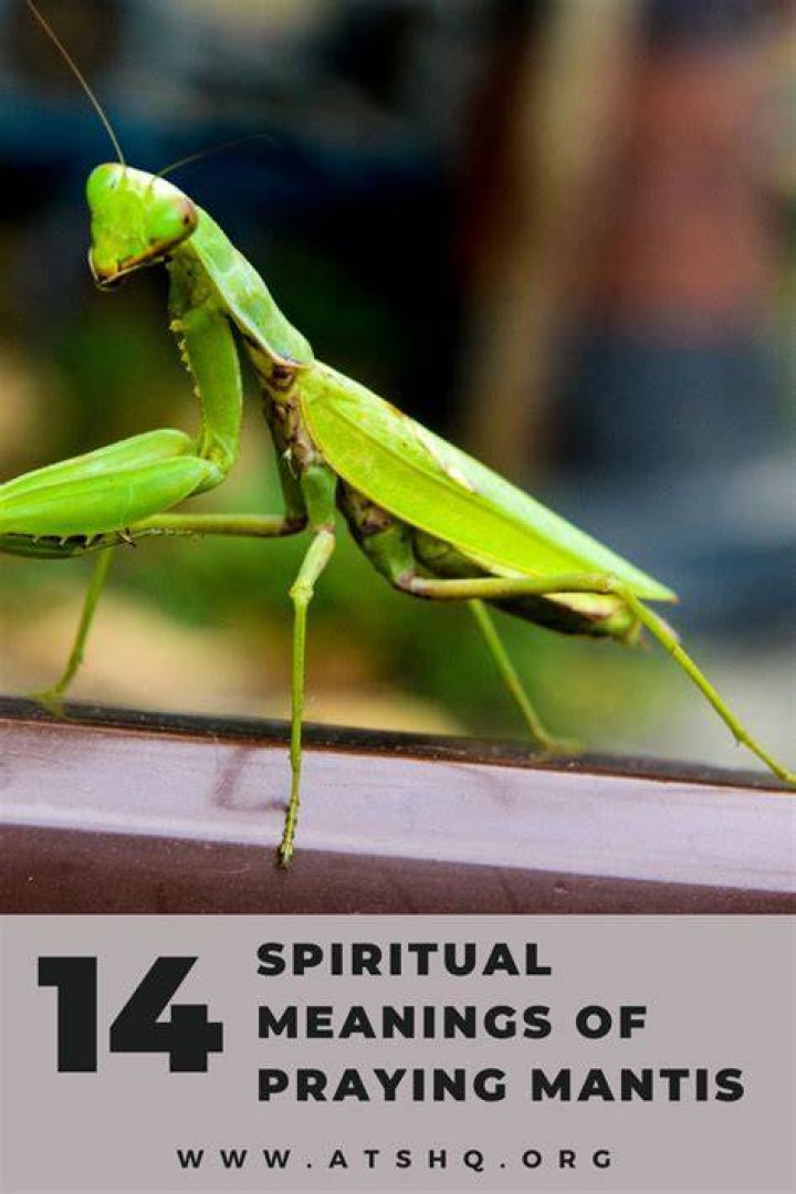 What does it mean to frog something?