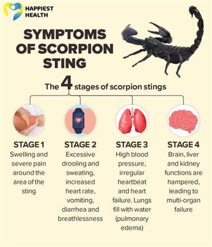 What does it mean when you find a scorpion in your house?