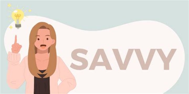 WHAT DOES IT savvy mean?