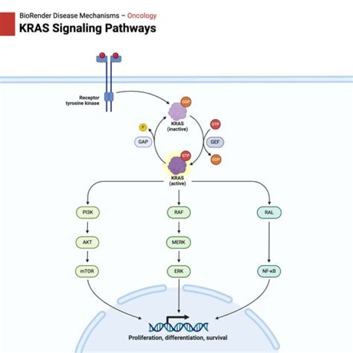 What does KRAS positive mean?