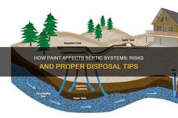 What does latex paint do to a septic system?