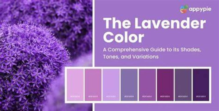 What does lavender taste good with?