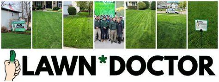 What does Lawn Doctor do?
