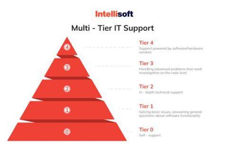 What does Level 1 support mean?