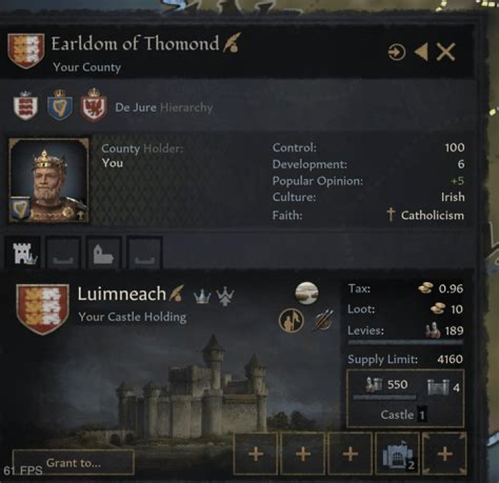 What does luimneach mean?