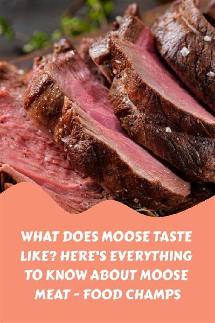 What does moose nose taste like?