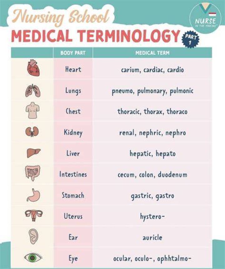 What does Orch mean in medical terms?