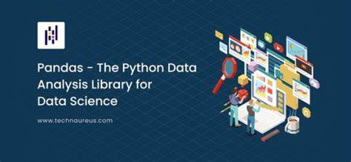 What does Python pandas stand for?