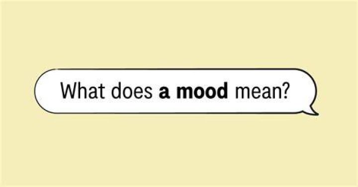 What does she's a mood mean?