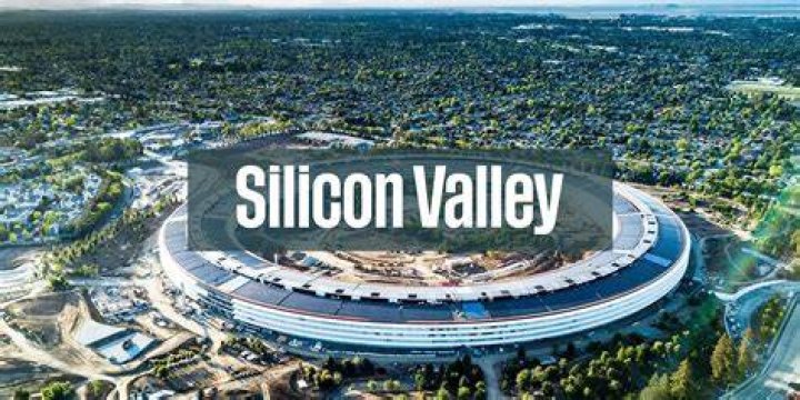What does Silicon Valley do?