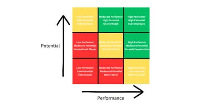 What does solid performer mean?