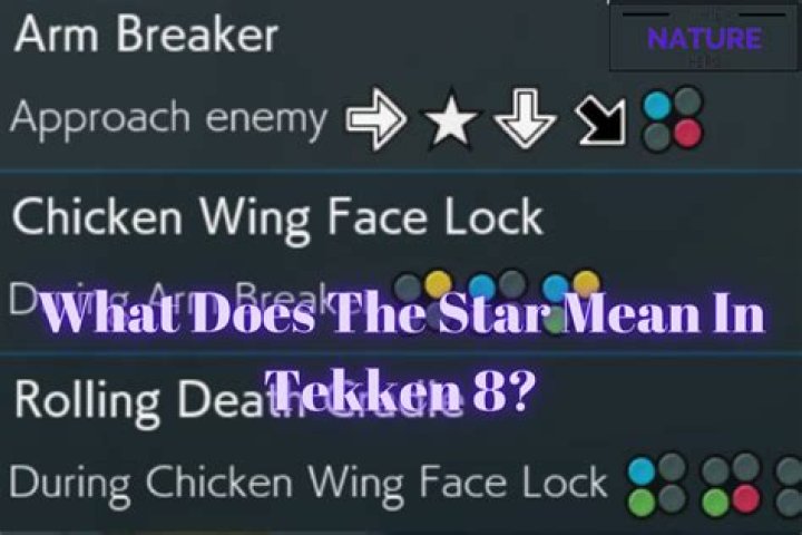 What does star means in Tekken command list?