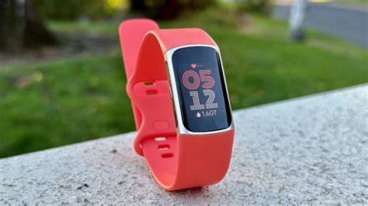 What does the new Fitbit update do?