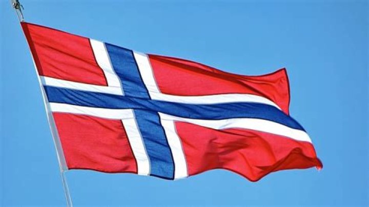 What does the Norway flag look like?