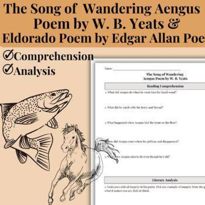 What does the poem The Song of Wandering Aengus mean?