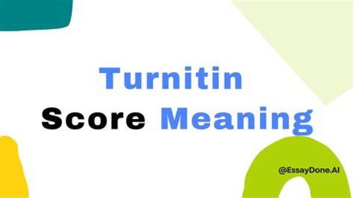 What does the Turnitin percentage mean?