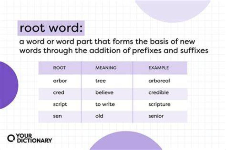 What does the word root Cerebr mean?
