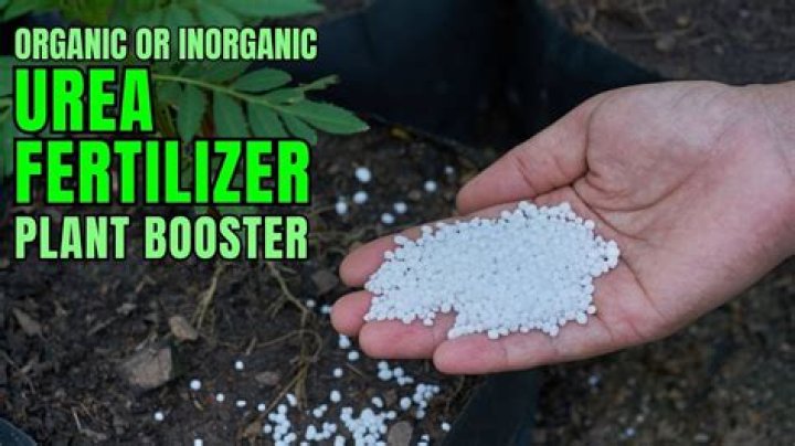What does urea fertilizer do to plants?