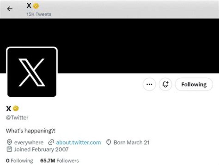 What does X mean in X Men?