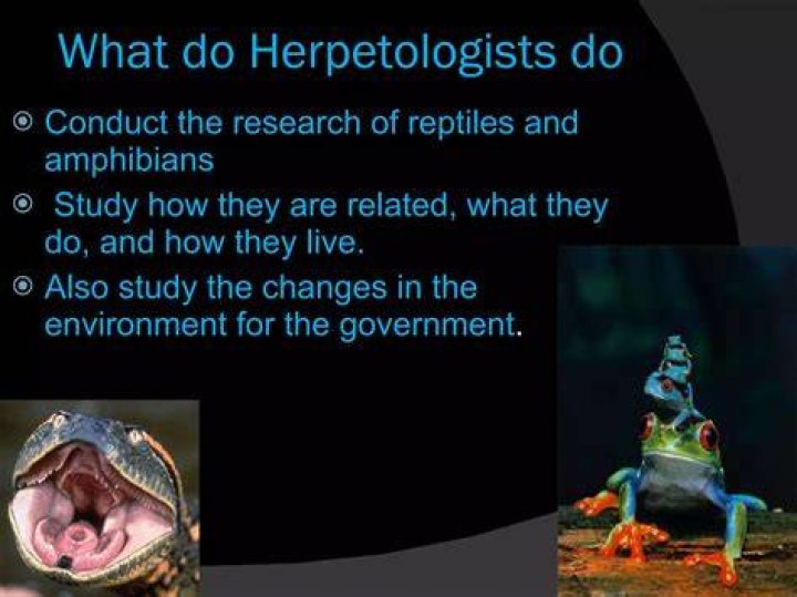 What education is needed to become a herpetologist?