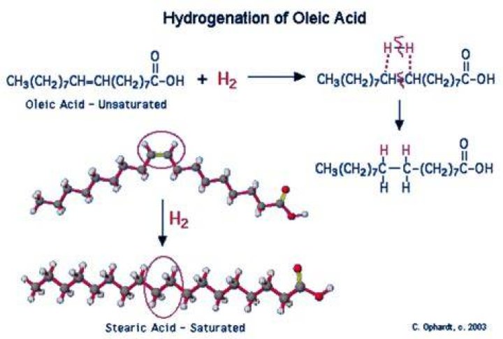 What effect does Hydrogenation have on fatty acids?