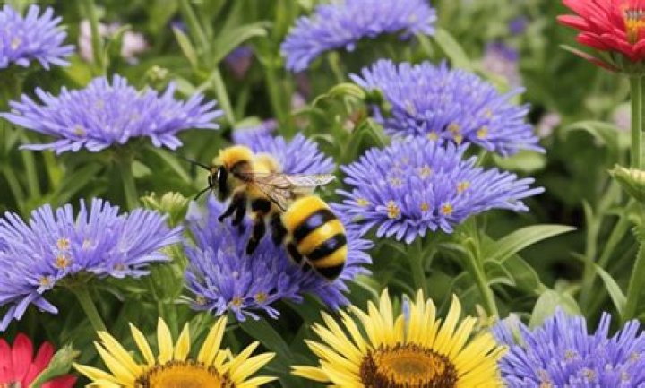 What flowers have nectar for bees?