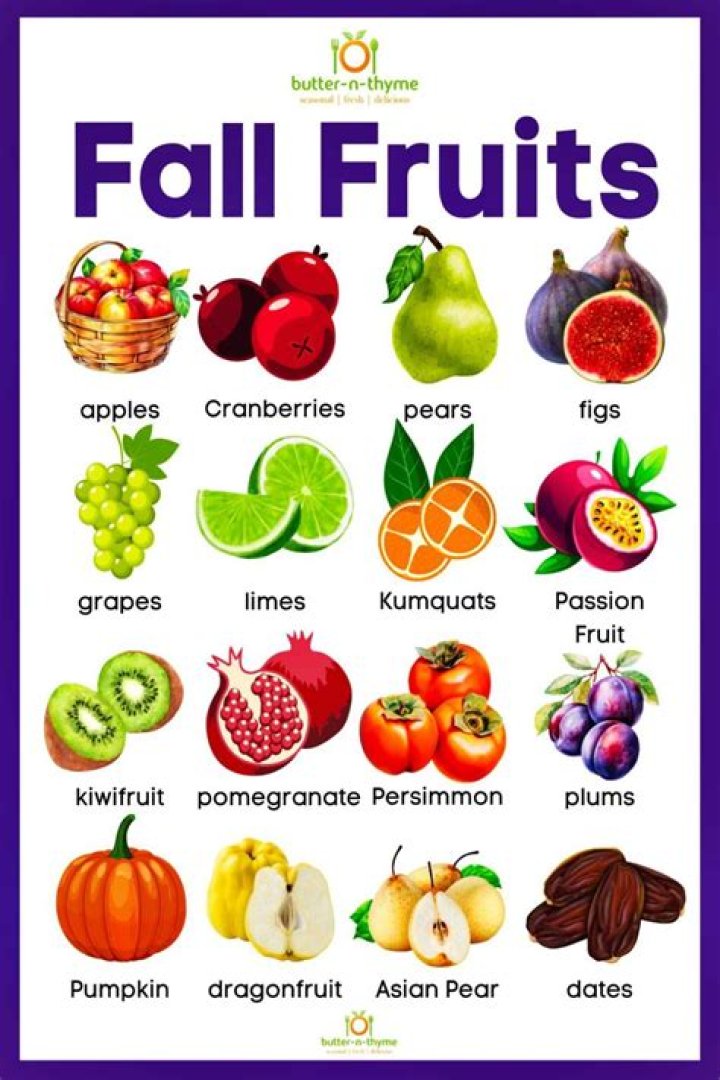 What foods are available in autumn?